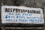 95 Rispetta la rondine...